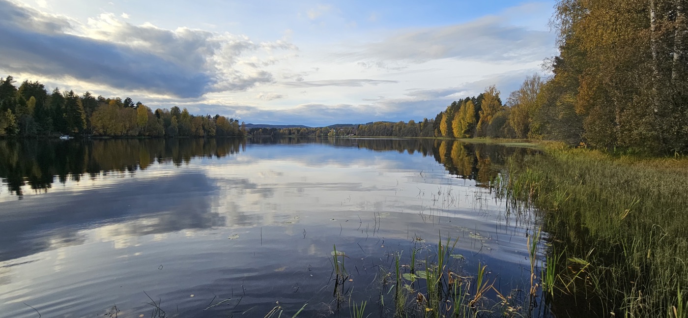 A still lake mirroring autumn-gold birches and a dramatic cloud bank