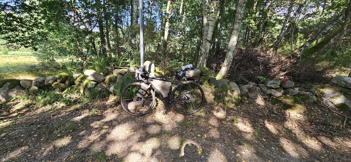 A loaded bikepacking bike leaning against a mossy stone wall among birches