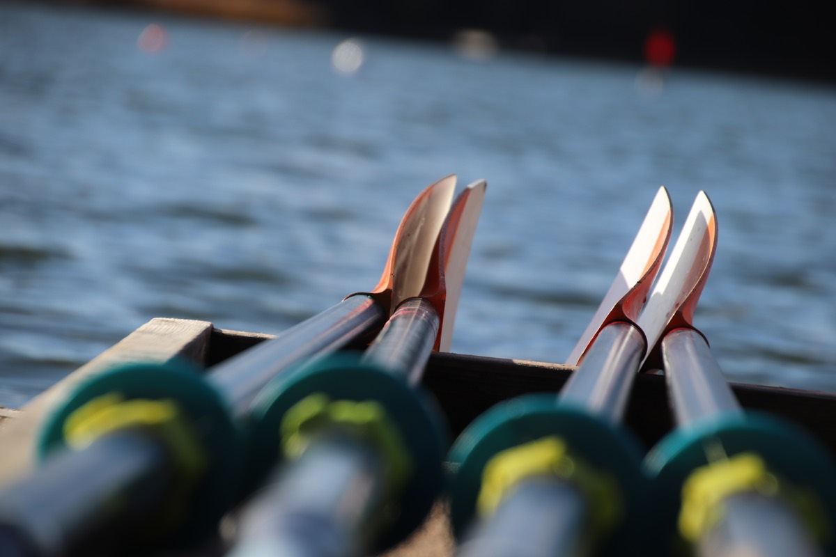Close-up of four oar blades resting over rippling water