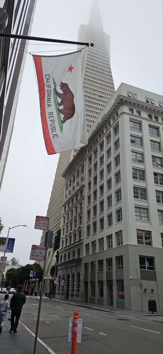 The Transamerica Pyramid disappearing into fog behind a California flag