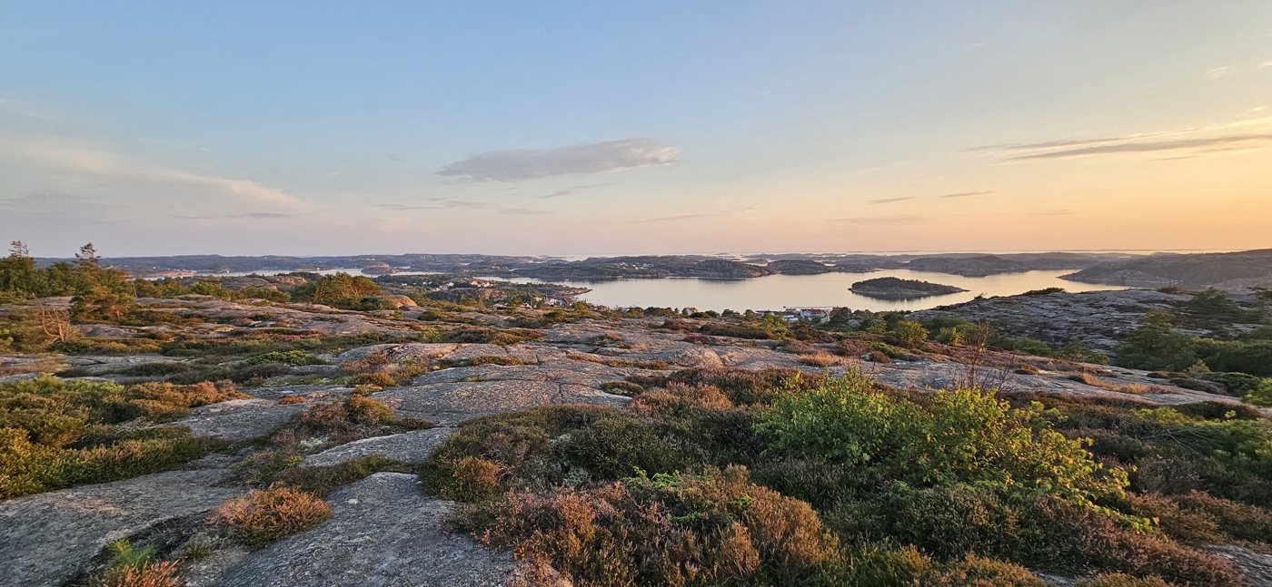Sunset over a rocky heather-covered coastal plateau, an archipelago fjord below
